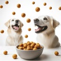 Happy dog in front of bowl of croquettes fly around on white background. ai generative