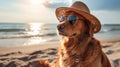 A happy dog in a hat and glasses sits on the beach of the sea or ocean. Summer holiday and vacation concept. holidays with pets Royalty Free Stock Photo