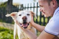 Happy dog and his owner Royalty Free Stock Photo