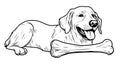 Happy Golden Retriever Dog Lying Down with a Bone, Black and White Sketch Royalty Free Stock Photo