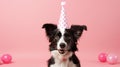 Happy dog in party hat celebrating birthday party with falling confetti on pastel background Royalty Free Stock Photo