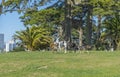 Happy dog playing on green lawn in the garden Royalty Free Stock Photo