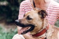 Happy dog portait, woman hugging cute mongrel dog outdoors, big