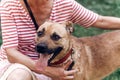 Happy dog portait, woman hugging cute mongrel dog outdoors, big