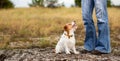 Happy dog puppy looking at her trainer owner, pet obedience training banner Royalty Free Stock Photo