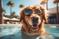 Happy dog relaxing by the pool. Generative AI Royalty Free Stock Photo