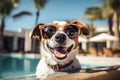 Happy dog relaxing by the pool. Generative AI Royalty Free Stock Photo