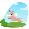 Happy dog running with a bone in dog park Royalty Free Stock Photo