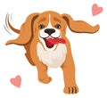 Happy dog running. Cartoon loving beagle pet