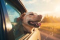 Happy dog sticking head out of the car window while on a trip. Generative AI Royalty Free Stock Photo