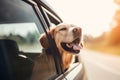 Happy dog sticking head out of the car window while on a trip. Generative AI Royalty Free Stock Photo