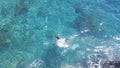 happy dog is swimming in kristal clear water