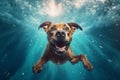 dog vacation fun pool funny swimming snorkeling underwater water puppy. Generative AI. Royalty Free Stock Photo