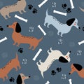 Colorful seamless pattern with happy dogs, bones. Decorative cute background, funny animals. Dachshunds