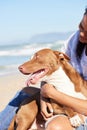 Happy dogs are on cloud canine. Shot of a woman spending a day at the beach with her adorable dog. Royalty Free Stock Photo
