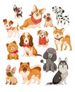 Happy dogs. Cute puppy pets and home funny animals cartoon isolated dog vector set Royalty Free Stock Photo