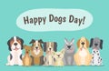 Happy dogs pack celebrating Dogs Day