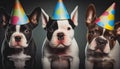 Happy dogs wearing party hats celebrating