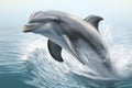 Happy dolphin jumping out of water Royalty Free Stock Photo