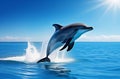 Happy dolphin in the sea in the rays of light Royalty Free Stock Photo