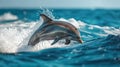 a happy dolphins jump out of the water showing themself