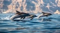 a group of happy dolphins jump out of the water showing themself