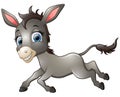 Happy donkey cartoon running