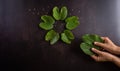 Happy Dussehra. Hand holding green leaf and rice on dark stone background. Dussehra Indian Festival concept