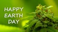 happy earth day text, concept. beautiful fern leaf and moss in woods. Green forest. environmental protection Royalty Free Stock Photo