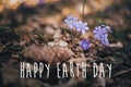 Happy Earth Day text, sign on beautiful purple hepatica flowers in sunny spring woods, selective focus. Springtime. Space for text