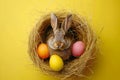 Happy easter Artful note Eggs Concealed Treasures Basket. White plush pet toy Bunny Trees. Easter joy background wallpaper