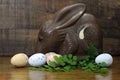 Happy Easter Australian style chocolate Bilby on wood background Royalty Free Stock Photo