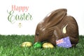 Happy Easter Australian style chocolate easter egg bunny Bilby with sample text Royalty Free Stock Photo