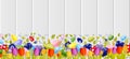 Happy Easter background colored eggs, spring decoration, leave, tulip flower design element in flat style Royalty Free Stock Photo