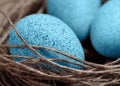 Happy Easter. Background with natural eggs in the nest