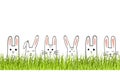 Happy Easter banner with bunny faces and grass. Rabbits border or greeting card. Vector