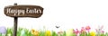 Happy Easter Banner with spring flowers, Easter eggs, rabbits and baby chic Royalty Free Stock Photo