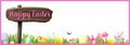 Happy Easter Banner with spring flowers, Easter eggs, rabbits and baby chic Royalty Free Stock Photo