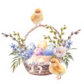 Happy Easter basket with spring flowers, willows, colorful eggs and chicken, hand drawn watercolor illustration. Vintage Royalty Free Stock Photo