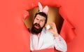 Happy Easter. Bearded man in bunny ears with white egg. Eggs hunt. Sale. Discount. Advertising. Royalty Free Stock Photo