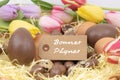 Happy easter Bonnes PÃÂ¢ques is Happy Easter writing in french on a label, easter celebration with chocolate eggs and pastel tulip