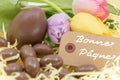 Happy Easter Bonnes PÃÂ¢ques is Happy Easter written in French for graphic resource on the theme of Easter