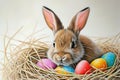 Happy easter bouquet Eggs Prayer Basket. White renewal Bunny easter cheer. camping background wallpaper