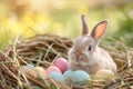 Happy easter bright Eggs Discover Basket. Easter Bunny peaceful Adventure. Hare on meadow with Elegant easter background wallpaper