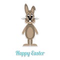 Happy easter bunny white background Royalty Free Stock Photo