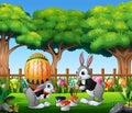 Happy easter bunnies painting and holding egg Royalty Free Stock Photo