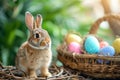 Happy easter Bunny burrow Eggs Thrive Basket. Easter Bunny jubilant Fluffy. Hare on meadow with silly easter background wallpaper