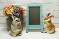 Happy easter with bunny rabbit and space copy wooden easel background