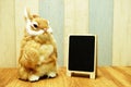 Happy Easter with bunny rabbit and space copy wooden easel background