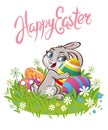 Easter bunny rabbit on the meadow with Easter eggs chocolate Royalty Free Stock Photo